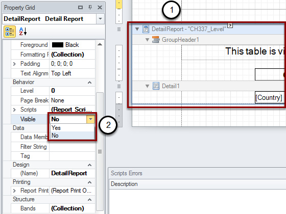 Change-the--Visible--Property-in-the-Details-Band-.png