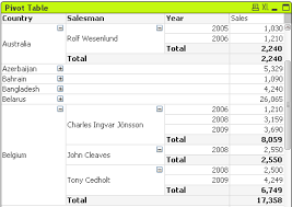 Kết quả hình ảnh cho pivot table qlik sense