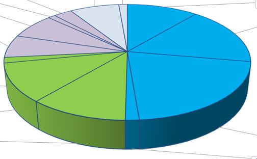 Qlikpie.JPG