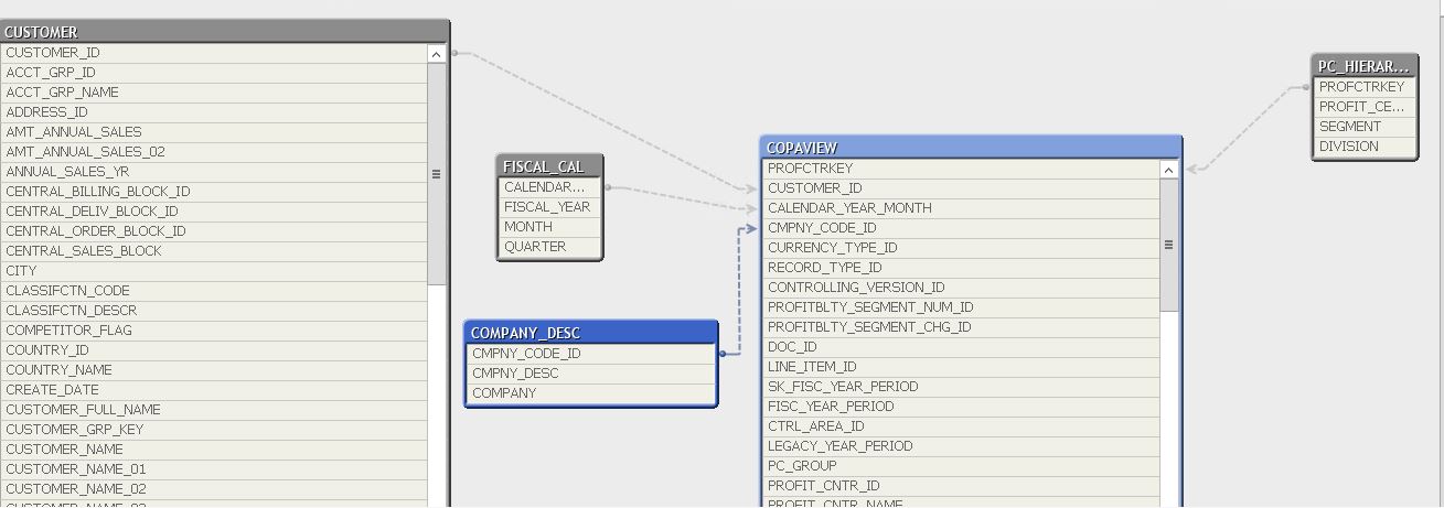 COPA_DATA_MODEL.jpg