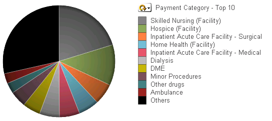 piechart.PNG