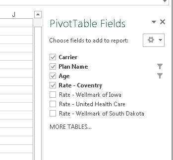 PivotTableFilters1.jpg