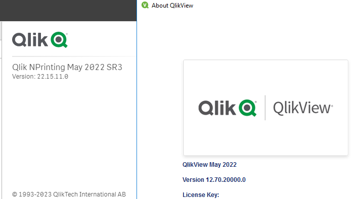 Pivot table formatting in Qlik NPrinting - Qlik Community - 2040368