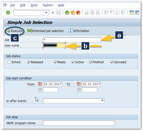 simple job selection in SAP.png