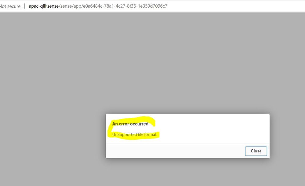 App Error Qlik.JPG