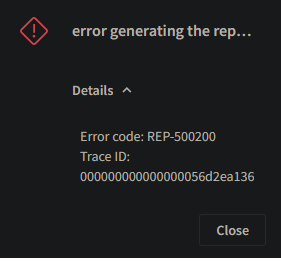 error_generatingthe report.png