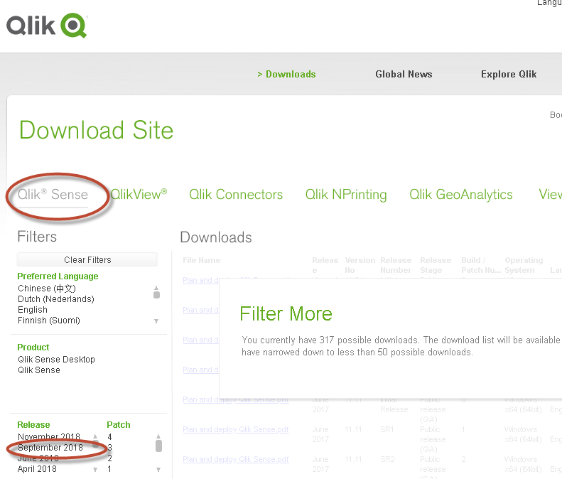 Qlik Downloads.png