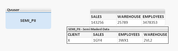 2485720 - section access scenario for masking columns - 2.PNG