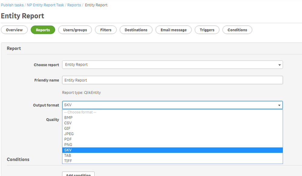 output formats entity report.PNG