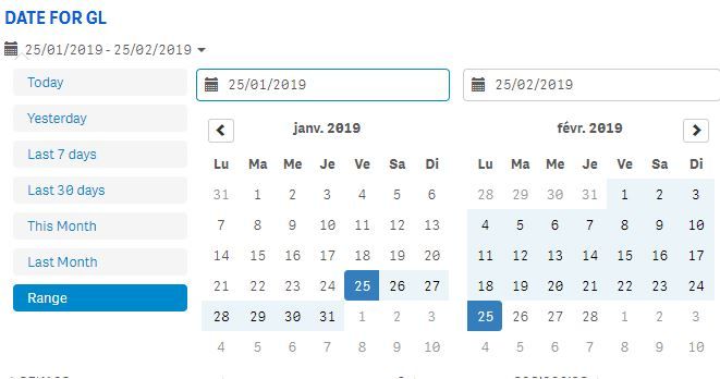 DATE RANGE PICKER.JPG