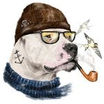 PaulMSK