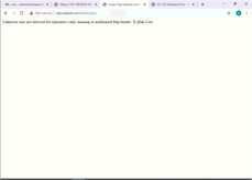 Qlik_Error.png