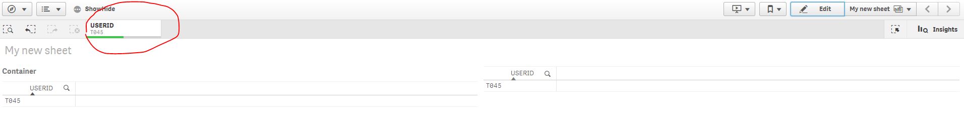 Solved: Show/Hide Container Extension User Access - Qlik Community ...