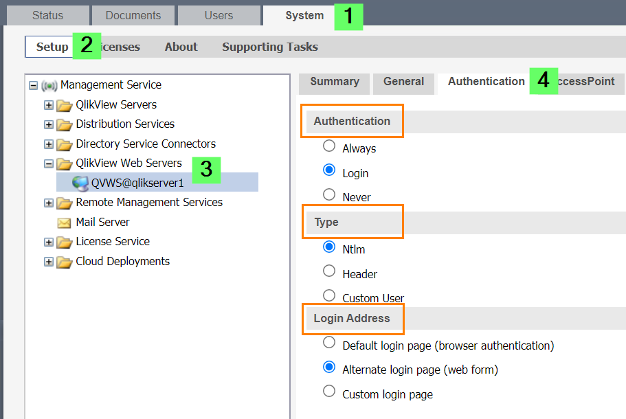 QlikView Login Options.png