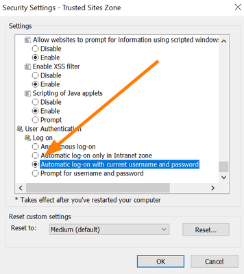 Internet Explorer Custom Security Level - login settings.png