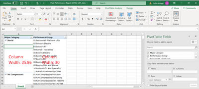 Column Widths in Published Excel view