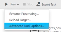 Advanced Run Options.png